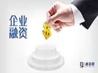 股权融资方式
