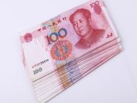 分公司可以单独报税吗?有