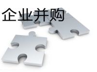 一般企业并购的种类有哪
