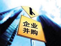 企业并购的基本流程